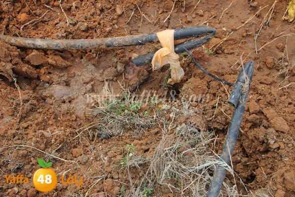 modahama lud 0216 (19).JPG